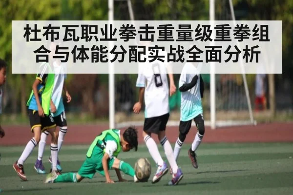 杜布瓦职业拳击重量级重拳组合与体能分配实战全面分析