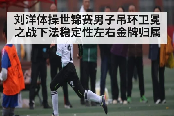 刘洋体操世锦赛男子吊环卫冕之战下法稳定性左右金牌归属