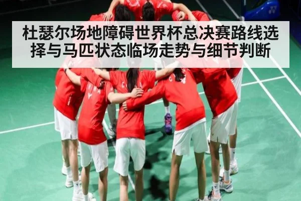 杜瑟尔场地障碍世界杯总决赛路线选择与马匹状态临场走势与细节判断