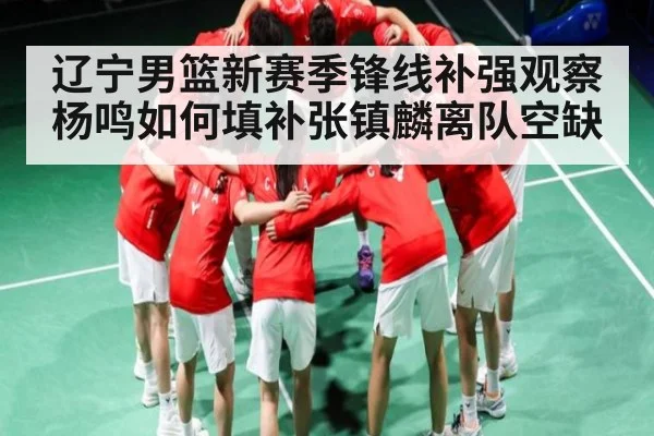 辽宁男篮新赛季锋线补强观察 杨鸣如何填补张镇麟离队空缺